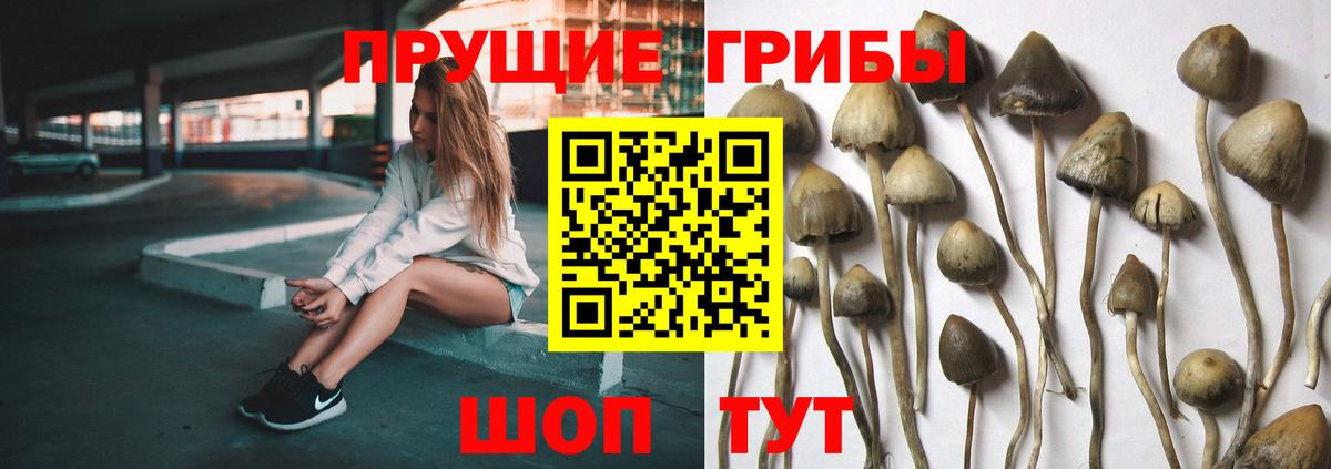 Псилоцибиновые грибы ЛСД Бузулук